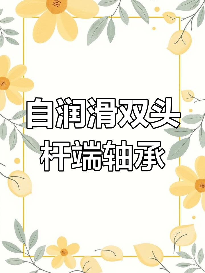 2025年3月1日 双头杆端关节轴承介绍
