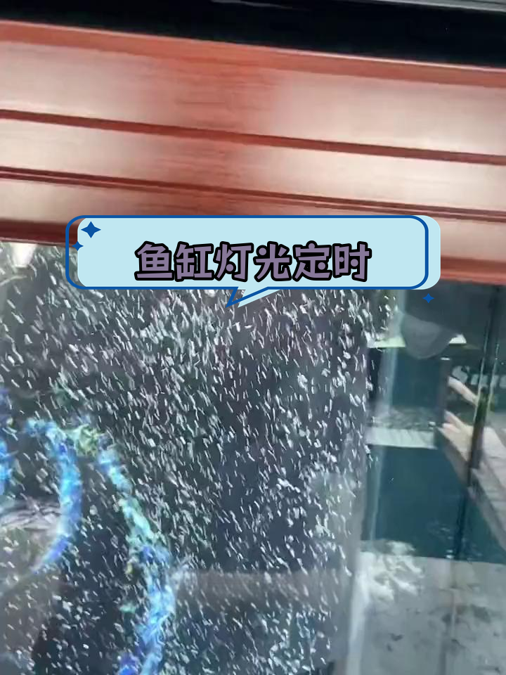 鱼缸灯光定时设置教程
