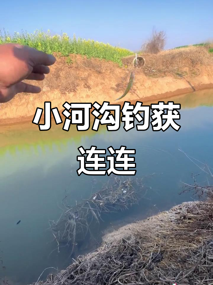 荒芜小河沟钓鱼,鲫鱼、扁鱼接连上钩
