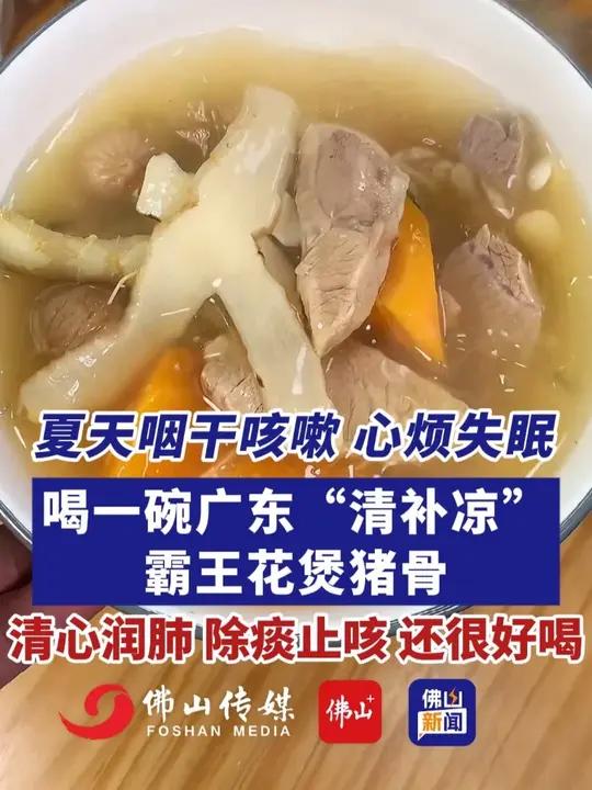 夏天咽干咳嗽,心烦失眠!喝一碗广东“清补凉”霸王花煲猪骨,功效清心润肺、除痰止咳,还很好喝