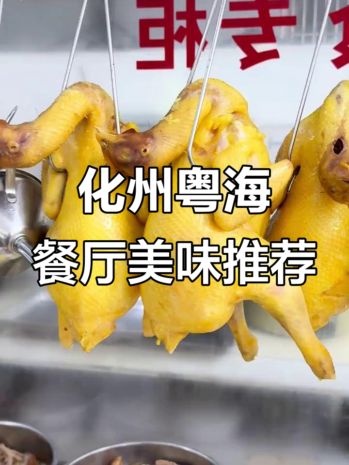 化州市粤海餐厅:家常菜与特色美食的完美结合