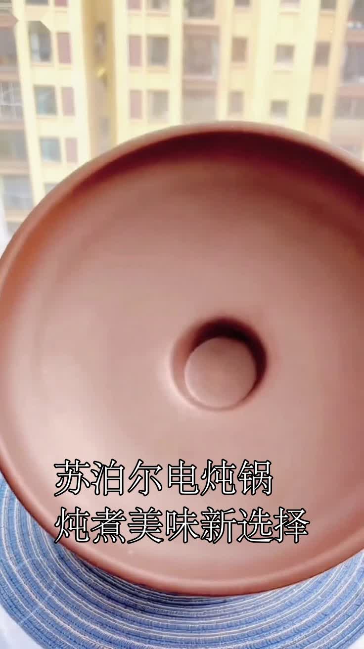 苏泊尔电炖锅炖煮美味新选择