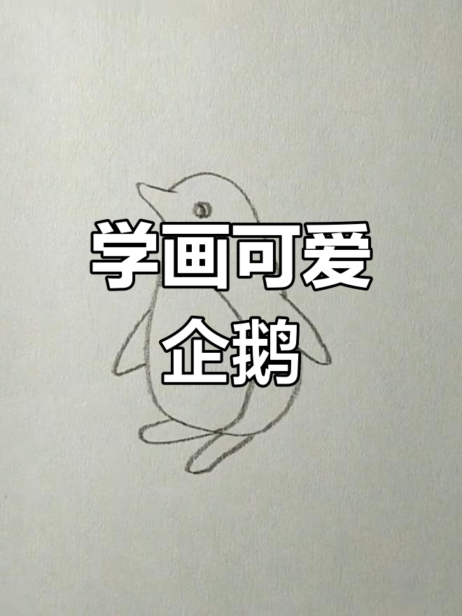 简单企鹅简笔画教程