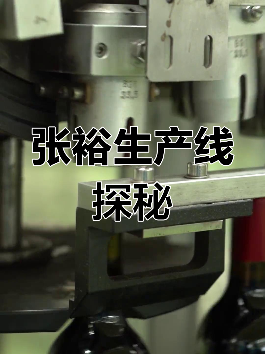 带你走进张裕生产线,揭秘葡萄酒制作工艺