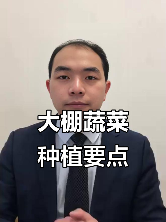 蔬菜大棚种植技巧:从根到叶的全程管理