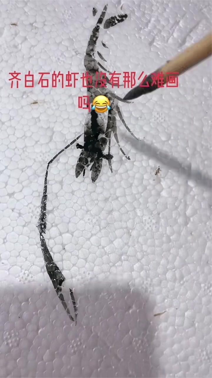 齐白石先生画的是虾,我画的是齐白石先生的虾