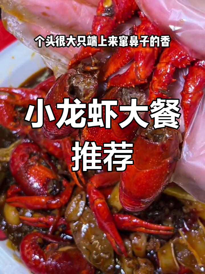 夏季必吃小龙虾,富豪龙虾馆的油焖蒜蓉口味最惊艳