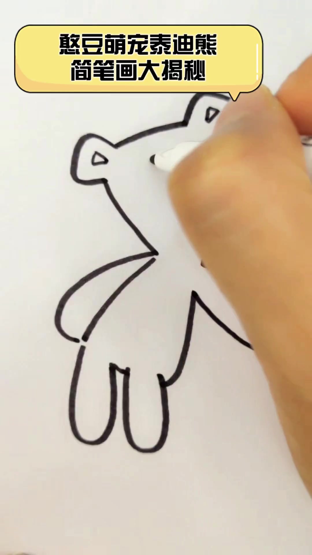 憨豆萌宠泰迪熊,简笔画大揭秘