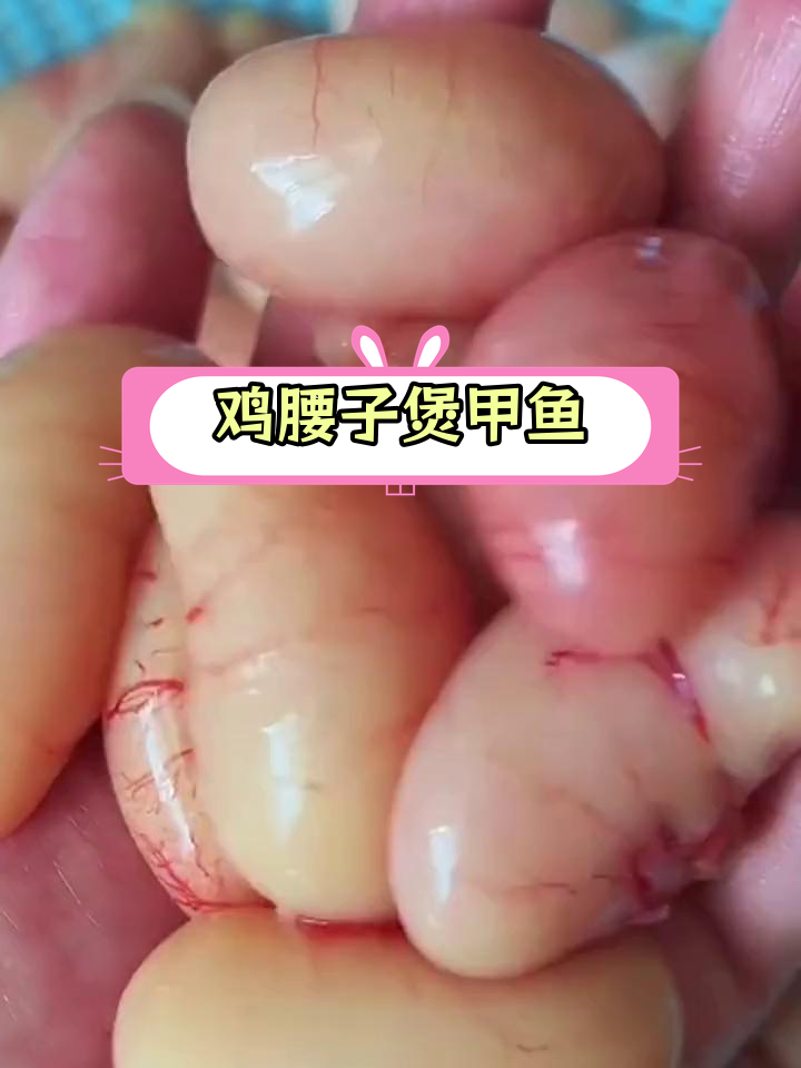 鸡腰子甲鱼汤,营养美味,烤炒皆宜