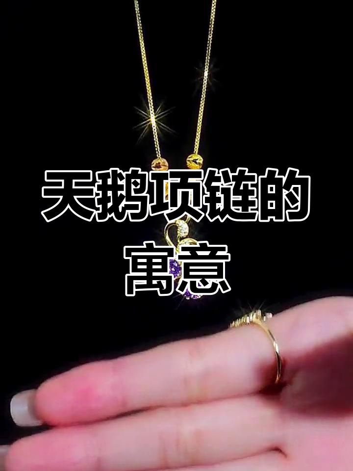 送天鹅项链,象征永恒的爱与忠诚