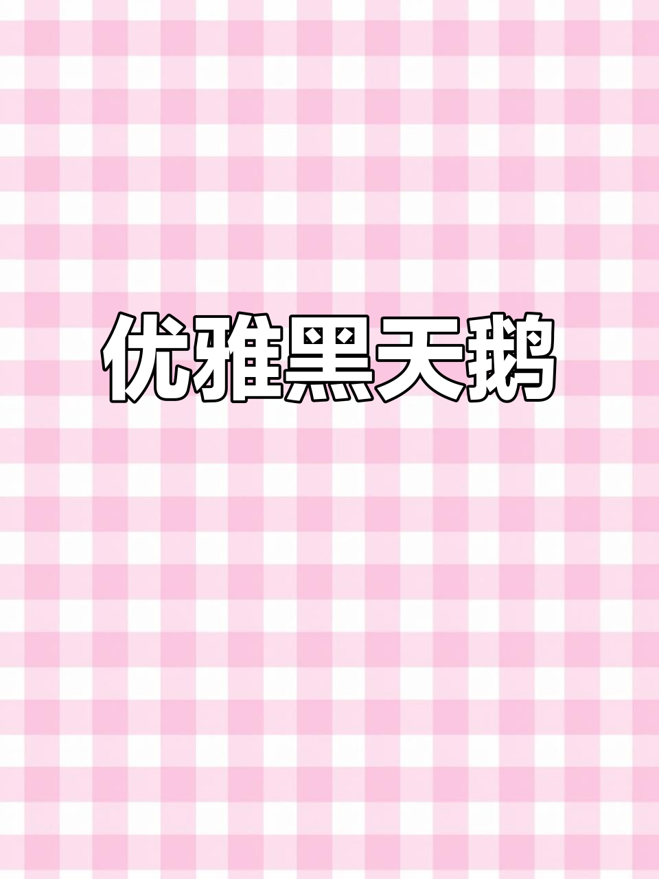 黑天鹅,优雅高贵,羽毛如墨,气质非凡