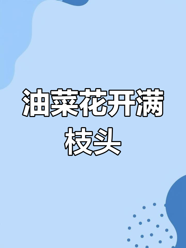油菜花谢,果实累枝,春天丰收在望