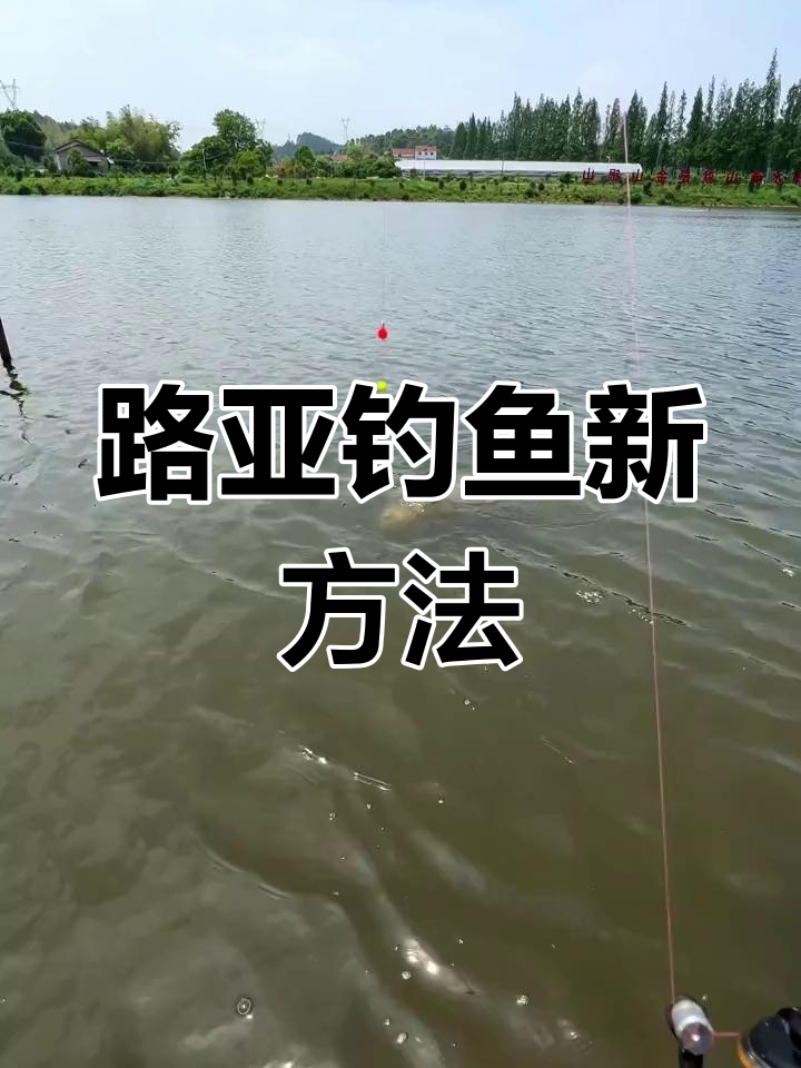 民间路亚新技巧:泥鳅钓大鱼,快速见效但遭抵制