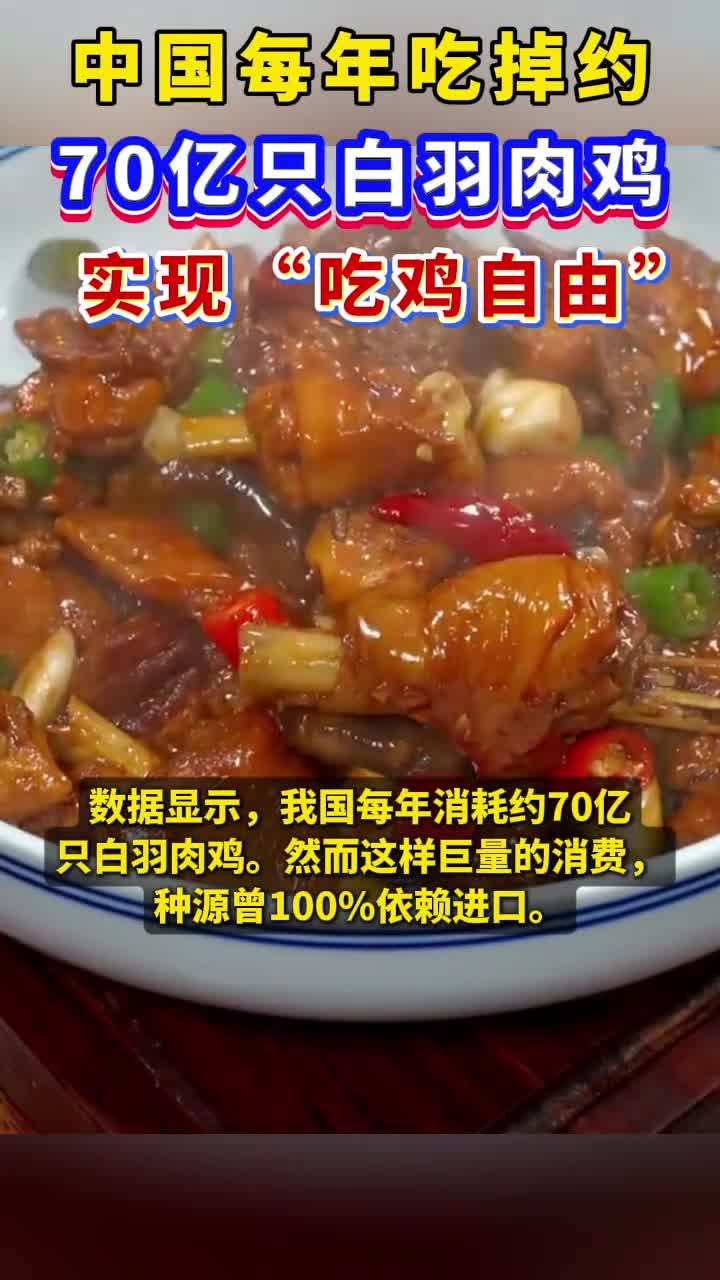 中国每年吃掉约70亿只白羽肉鸡