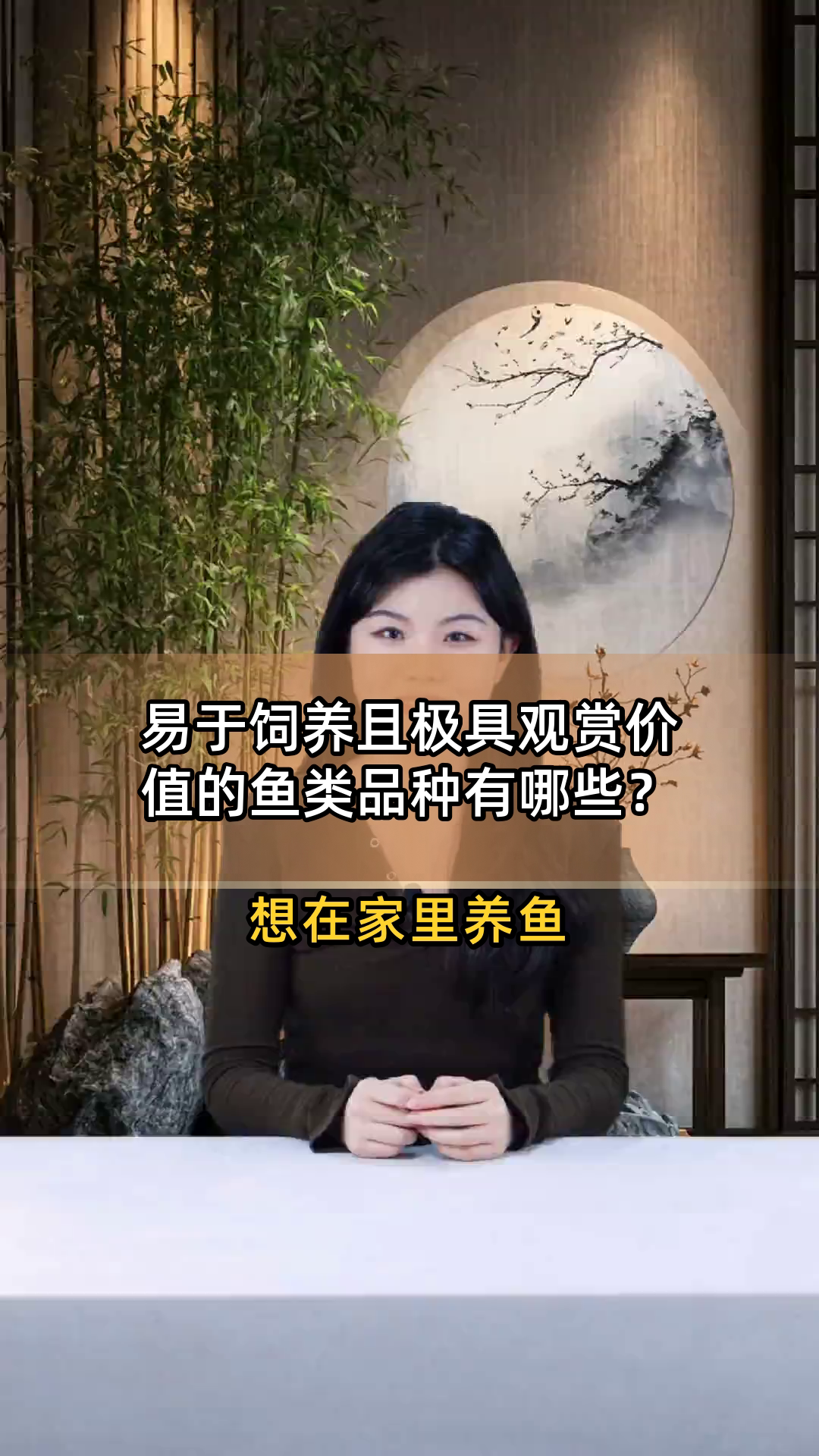 易于饲养且极具观赏价值的鱼类品种有哪些?