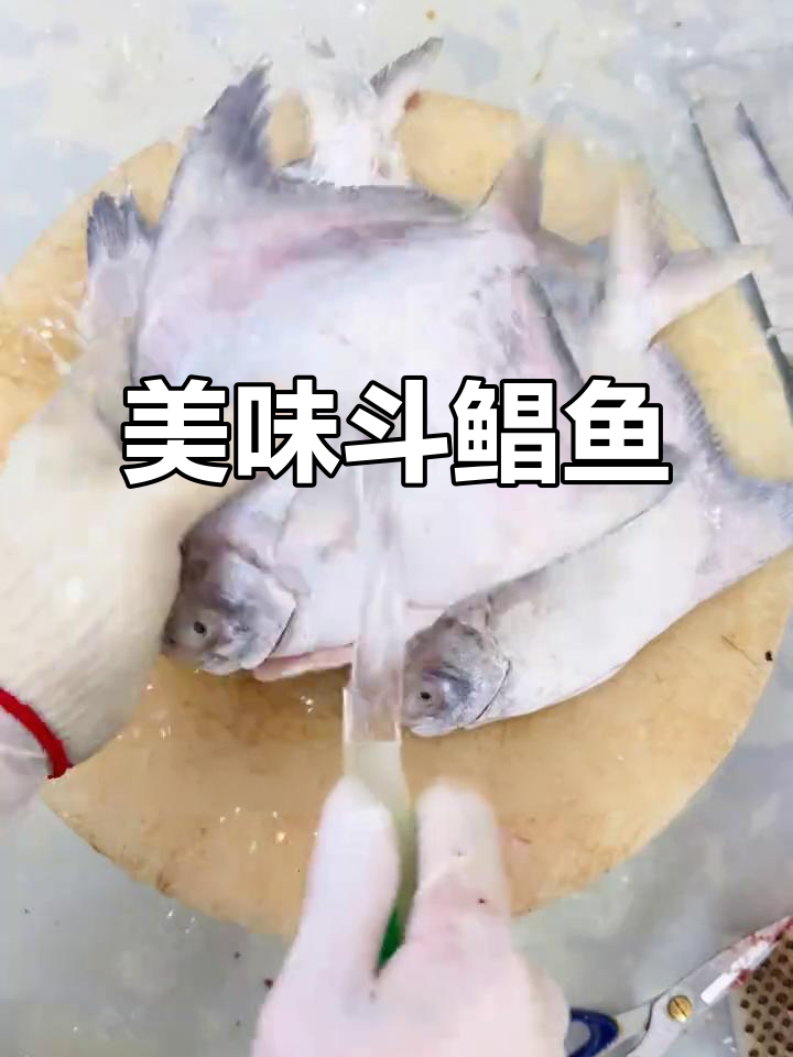 斗鲳鱼:鲜美无刺,清蒸香煎皆宜