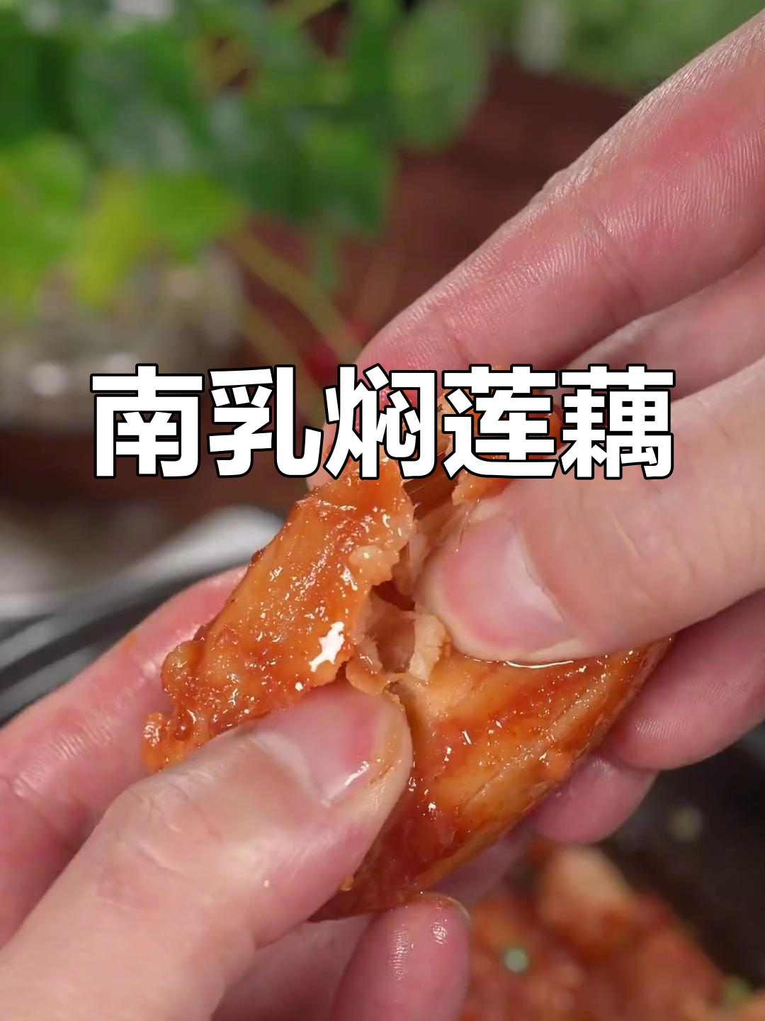 秋季必吃南乳焖莲藕,五花肉糯香可口