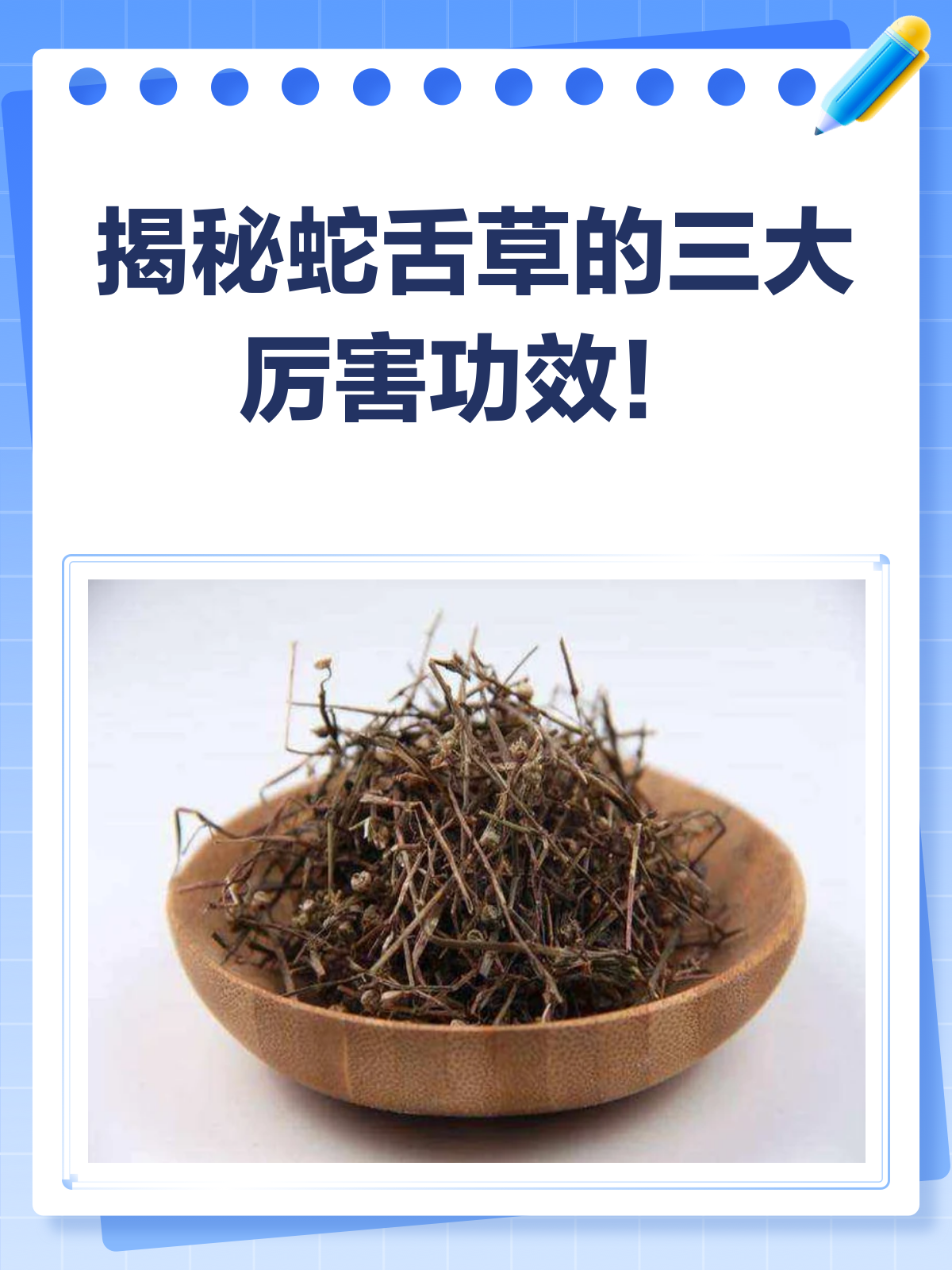 蛇舌草三大功效,你知道吗?