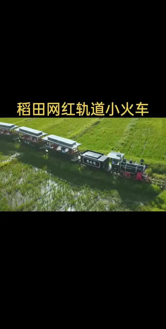 稻田网红轨道小火车的组成方式,是由旅游景区客户的要求和有轨观光蒸汽小火车厂家的生产方式来决