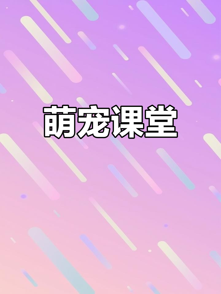 萌宠课堂开讲,快来看看你的最爱!