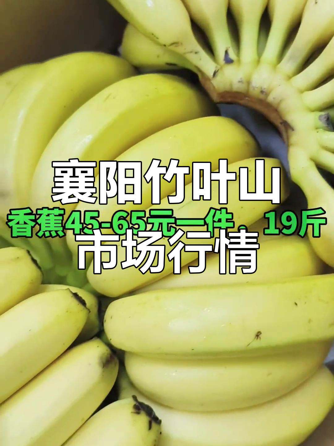 襄阳竹叶山市场6月7日蔬菜水果价格大揭秘,新鲜应季产品一览