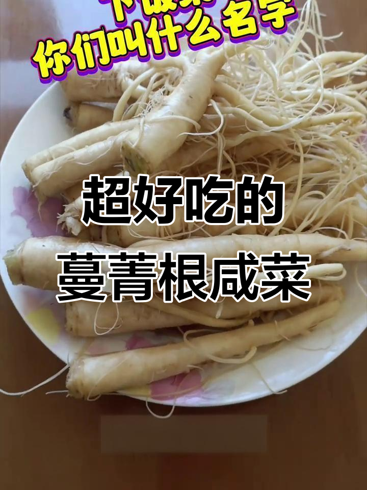 冬季必备!这款蔓菁根咸菜,超级下饭又治愈