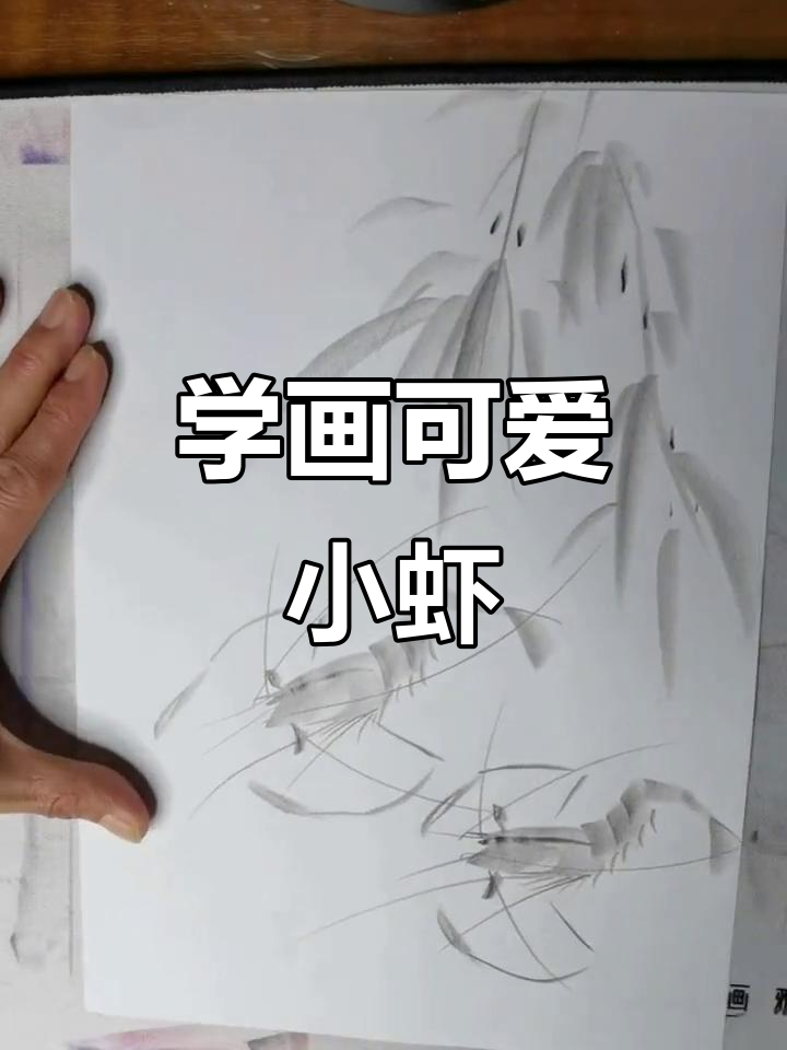 轻松学会中国铅笔画《虾》的画法技巧