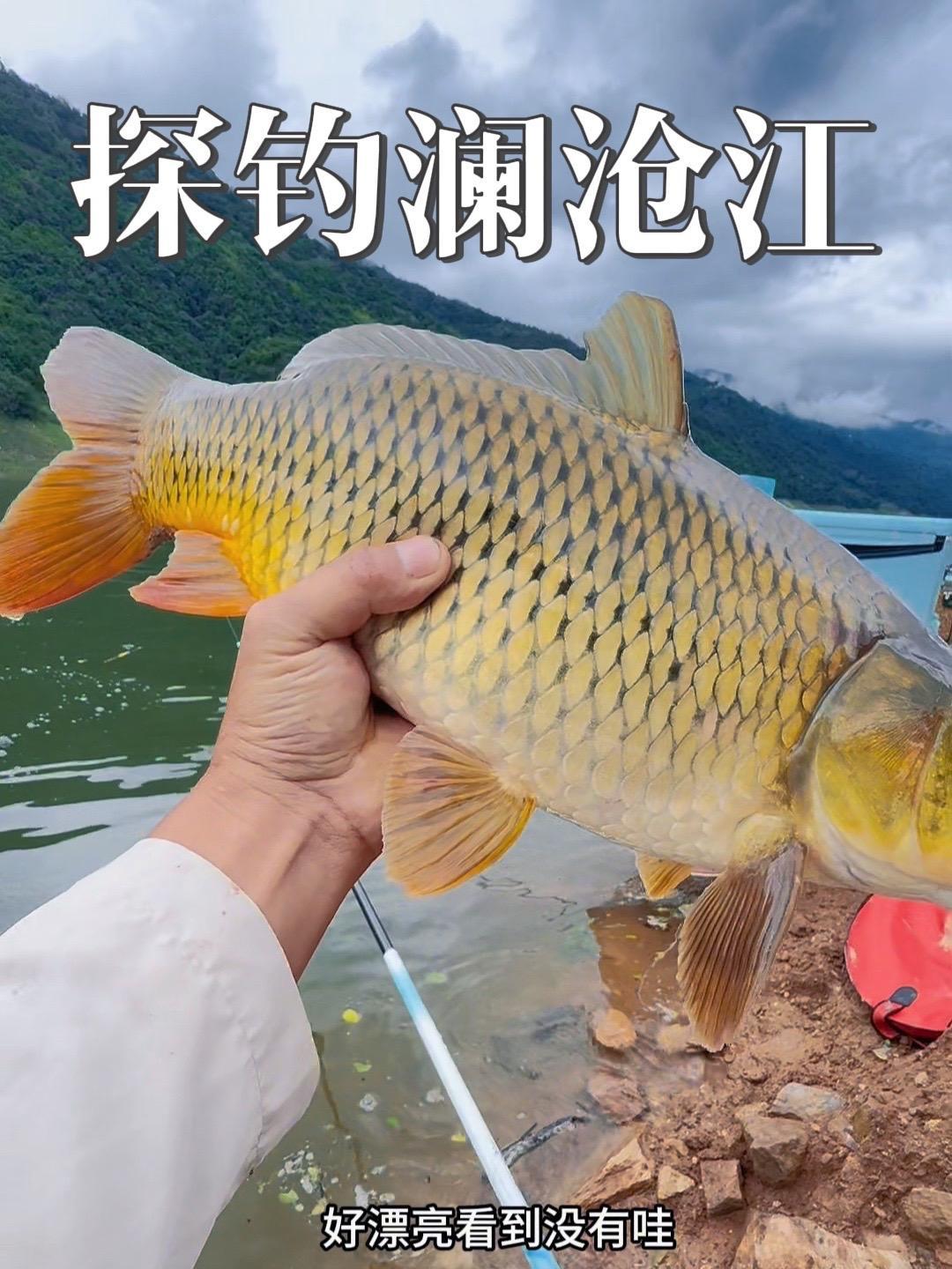 两个人跑1800公里探钓澜沧江，开门红啊 钓鱼人 光威鱼竿