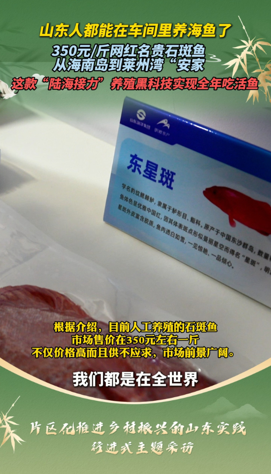 乡村振兴看片区｜山东人都能在车间里养海鱼了