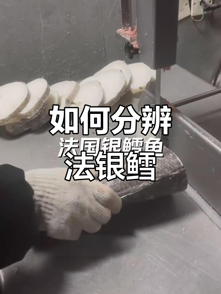 法国大西洋真鳕鱼揭秘:如何辨别真假银鳕