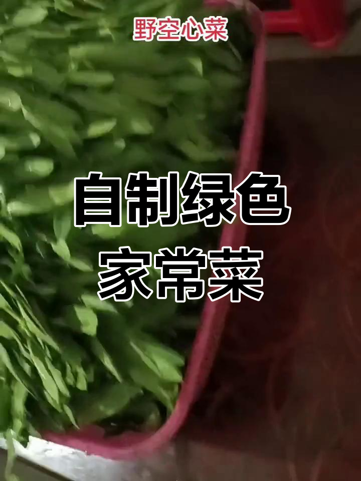 海南野空心菜,天然美味