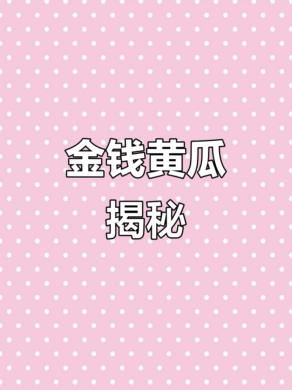 金钱黄瓜的秘密,你了解吗?