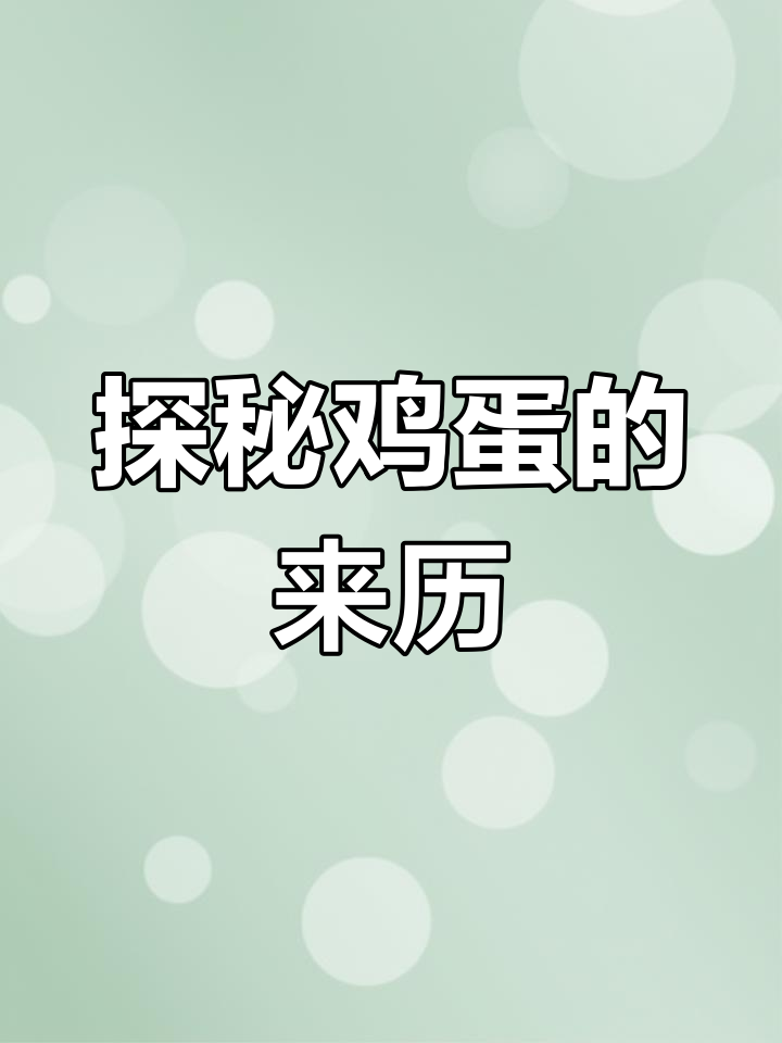 珍和朱比利的鸡舍探险,揭开鸡蛋的秘密
