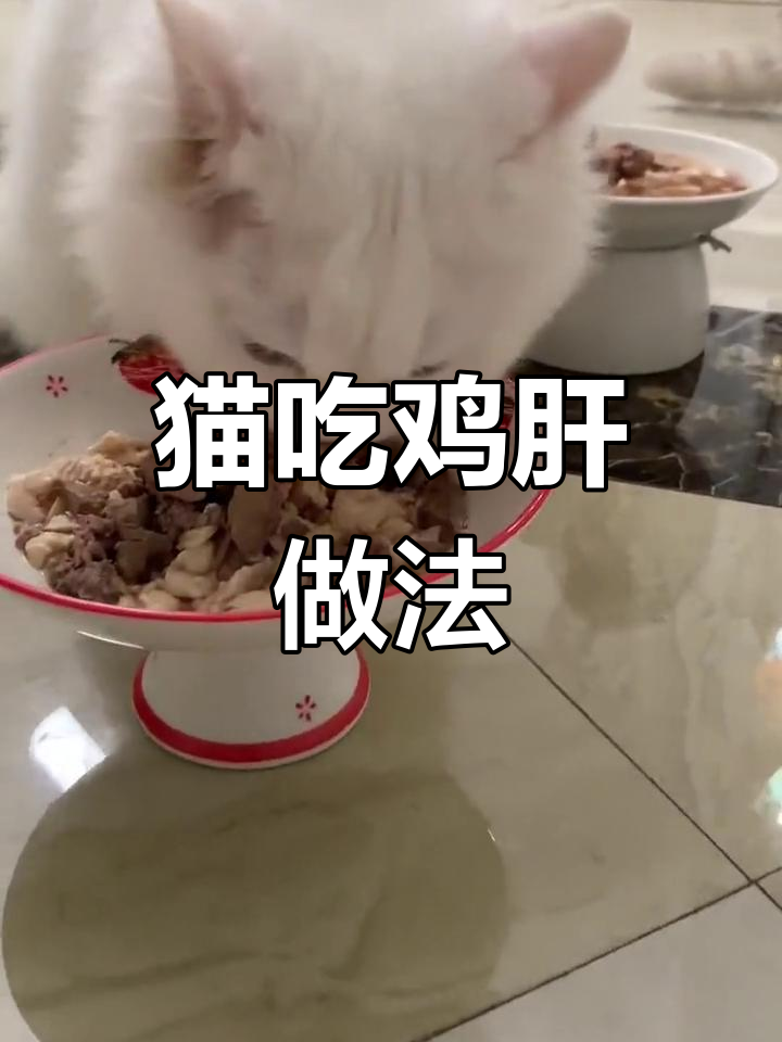 如何给猫咪做鸡肝料理