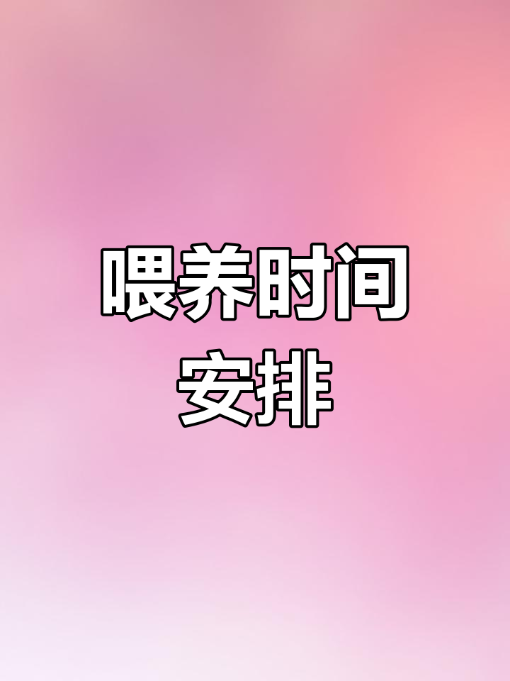 喂食小技巧:猫粮与生骨肉交替,保持8小时间隔