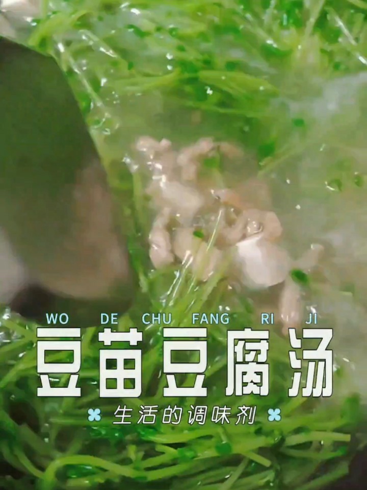 快来试试豆苗豆腐汤,清甜不腻,10分钟搞定