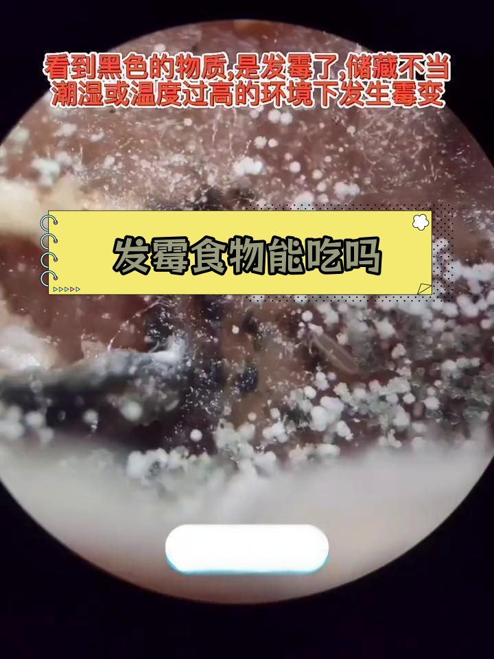 鱿鱼干放大200倍,揭秘发霉食物真相