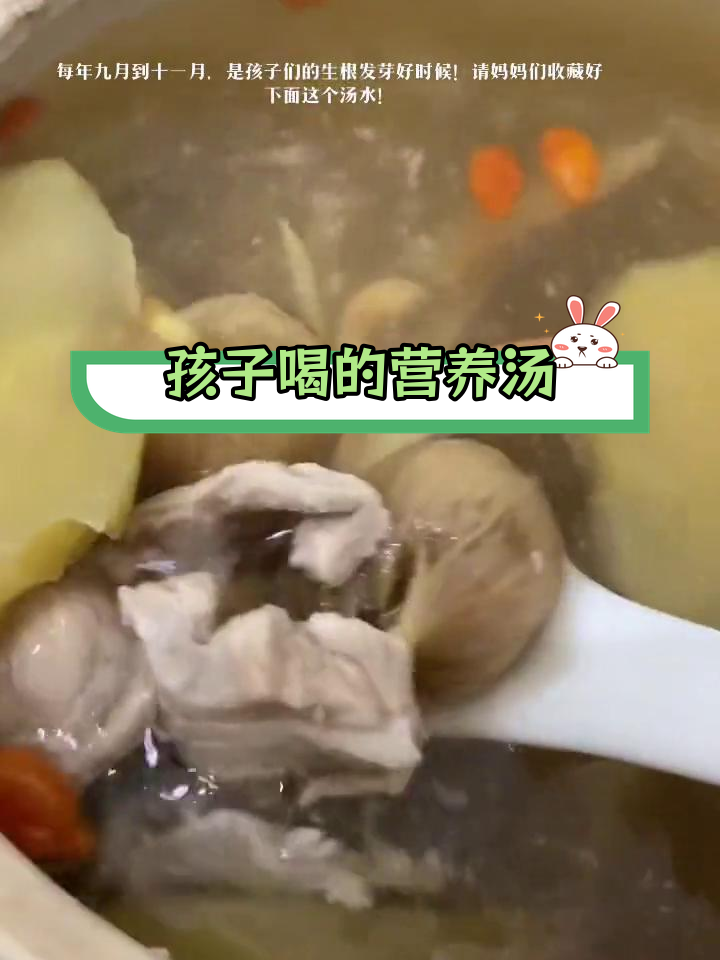 秋季儿童滋补汤,苹果麦冬太子参无花果