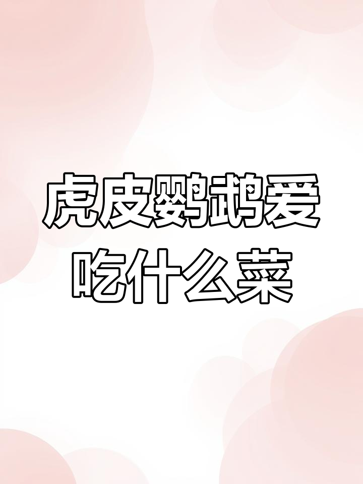 虎皮鹦鹉最爱吃的9种蔬菜,哪种最受欢迎?