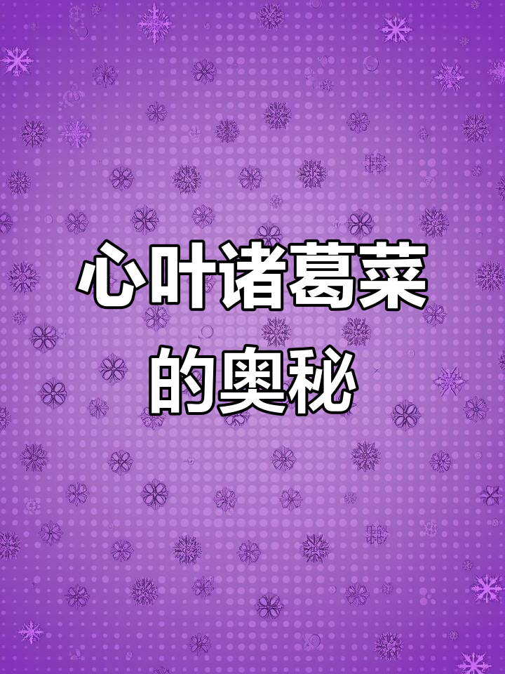 诸葛菜的心叶秘密,竟然是这样!