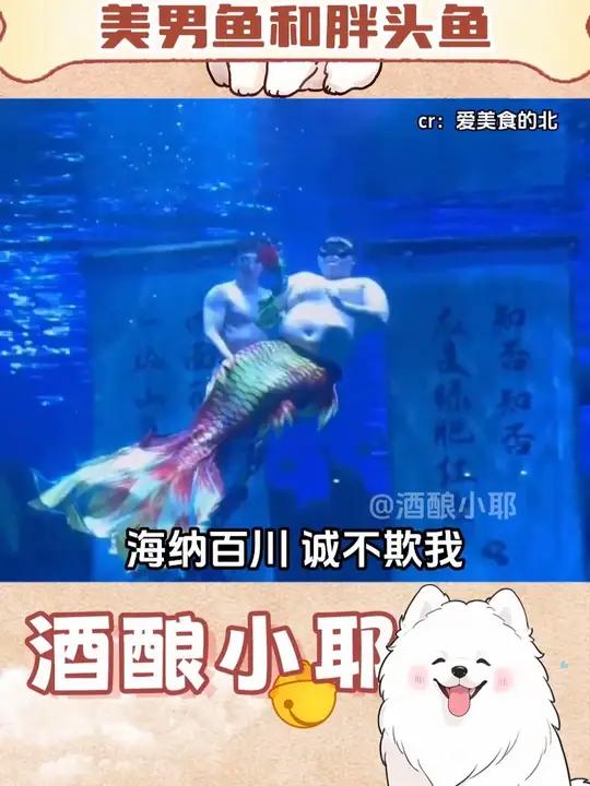 萌萌嘟萌萌嘟