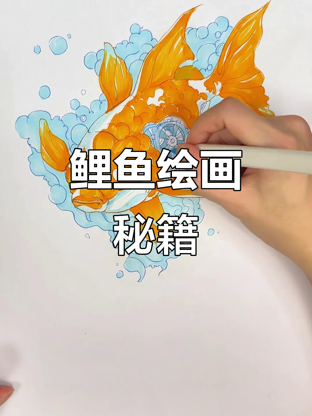 探索鲤鱼绘画技巧,色彩与光影让画面更生动有趣