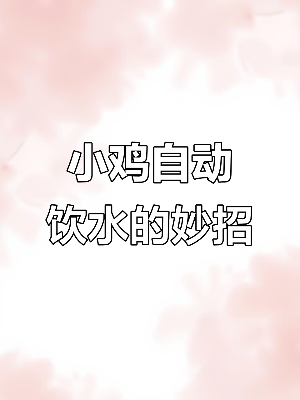 用矿泉水瓶做自动饮水器,小鸡喝水超有趣