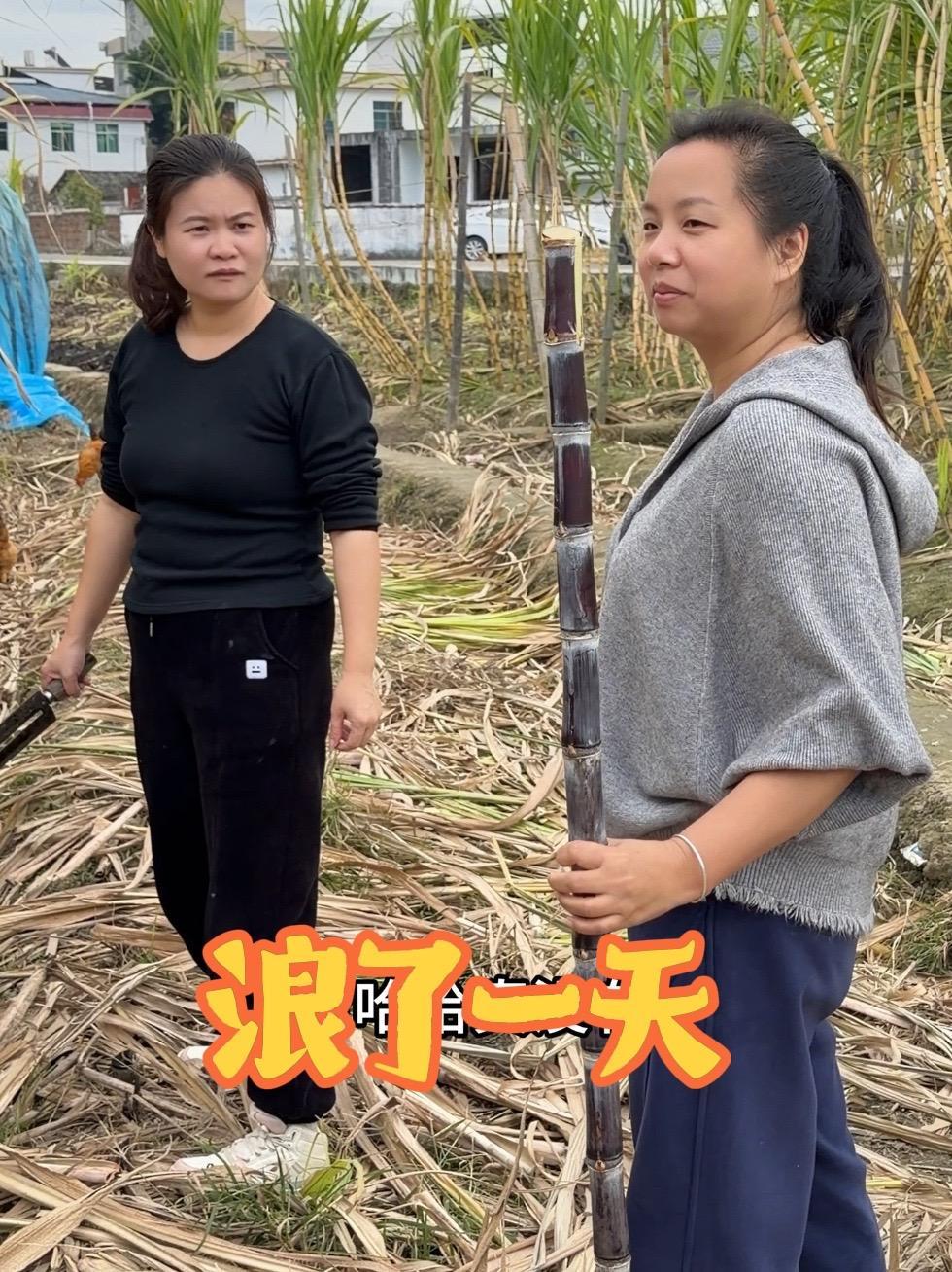 阿青带阿萍去县城浪了一天,品尝江西的辣菜,那真的是越吃越过瘾 #新农人计划 #内容太过真实