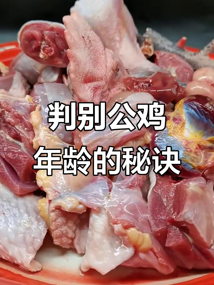 如何通过鸡爪判断公鸡年龄,炒鸡技巧大揭秘