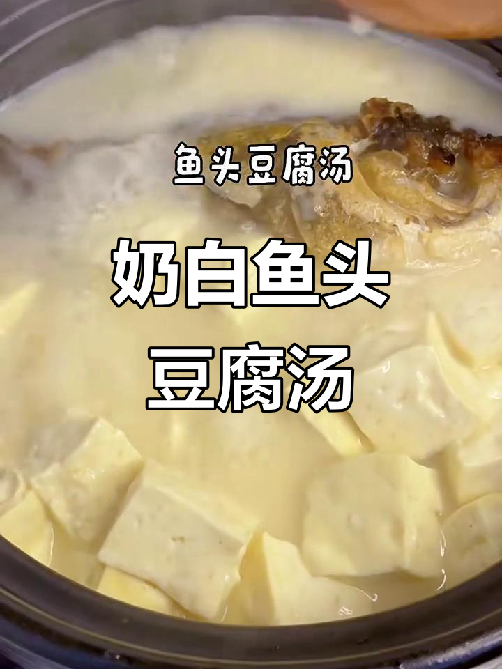 奶白鱼头豆腐汤,鲜香不腥,汤浓味美