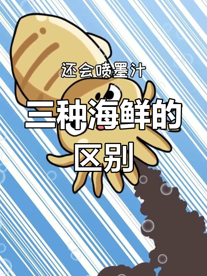 墨鱼、章鱼和鱿鱼的差异大揭秘