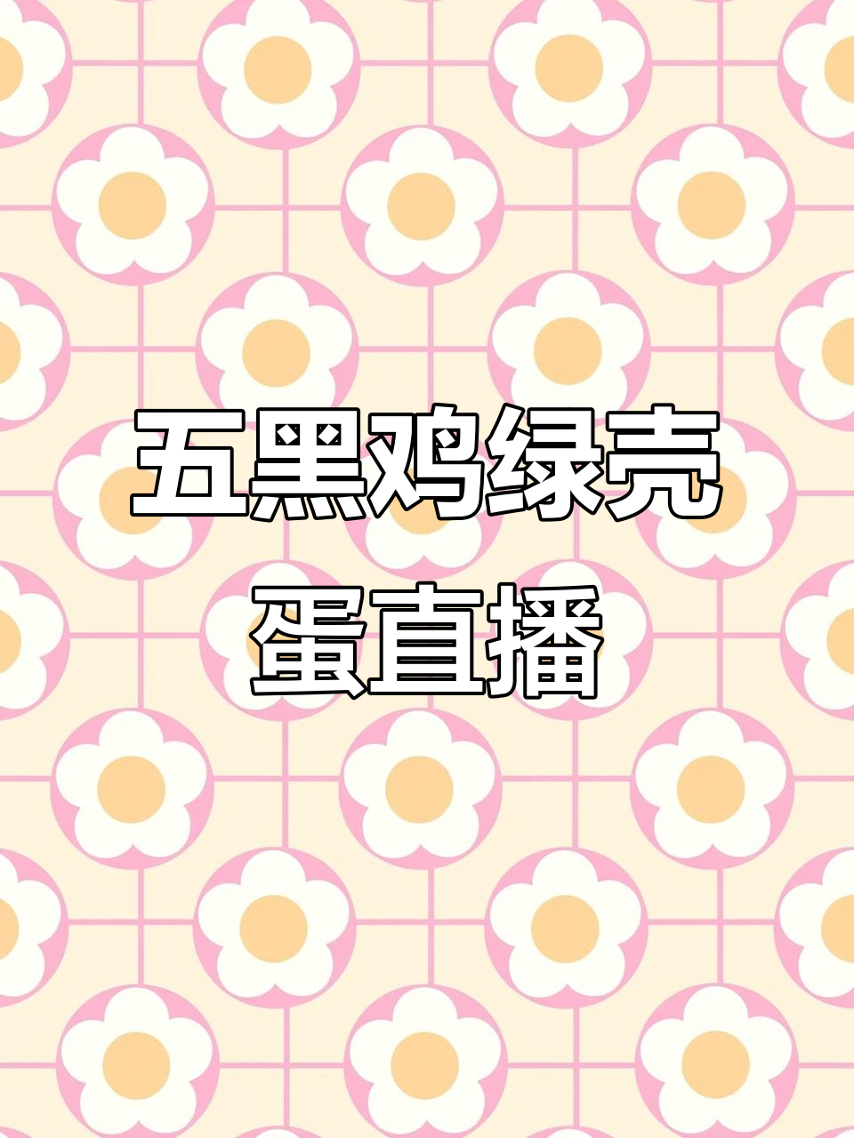 纯种芦花鸡、白凤乌鸡与五黑鸡,绿壳蛋等你来选