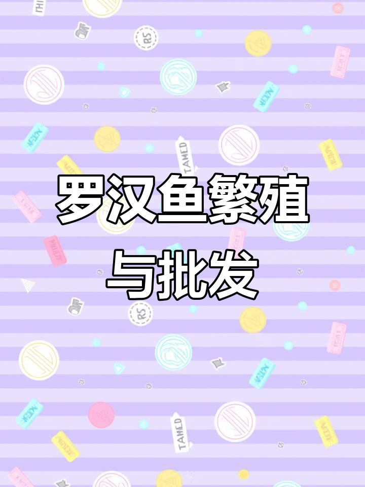 罗汉鱼繁殖技巧与渔场批发信息