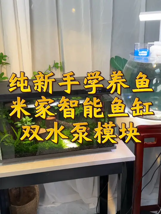 家里小米鱼缸换双水泵模块,水流量效果超棒!
